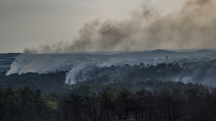 Incendio en parque nacional griego revel&oacute; "fracaso cr&oacute;nico" en protecci&oacute;n de la naturaleza (ONG)