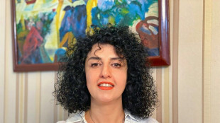 'I was drowning': Iran Nobel winner exposes pain of separation from children