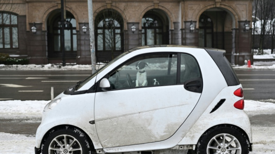 Trump dice que Putin acord&oacute; no atacar Kiev durante una semana en medio de fr&iacute;o "excepcional"