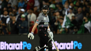 Captain Williamson brushes off latest New Zealand World Cup failure