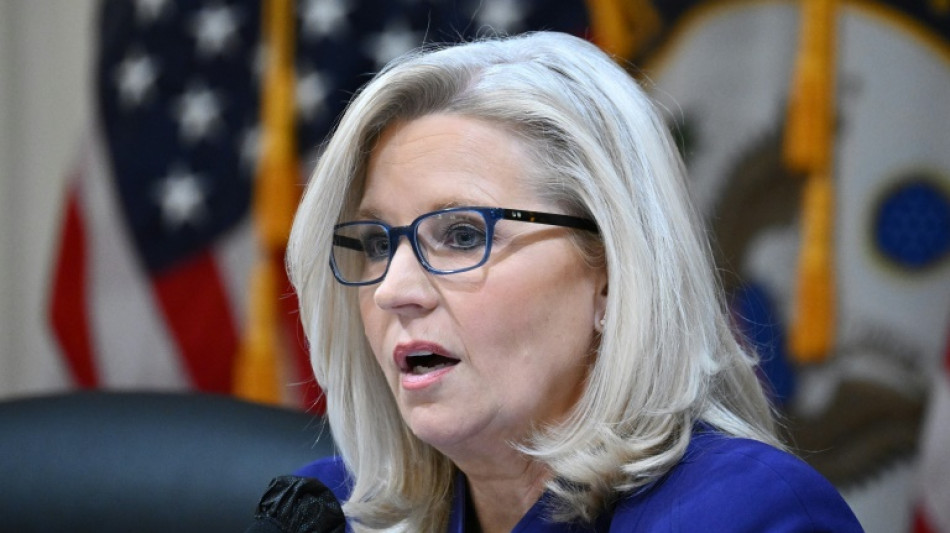 La excongresista republicana Cheney ser&aacute; profesora universitaria en EEUU