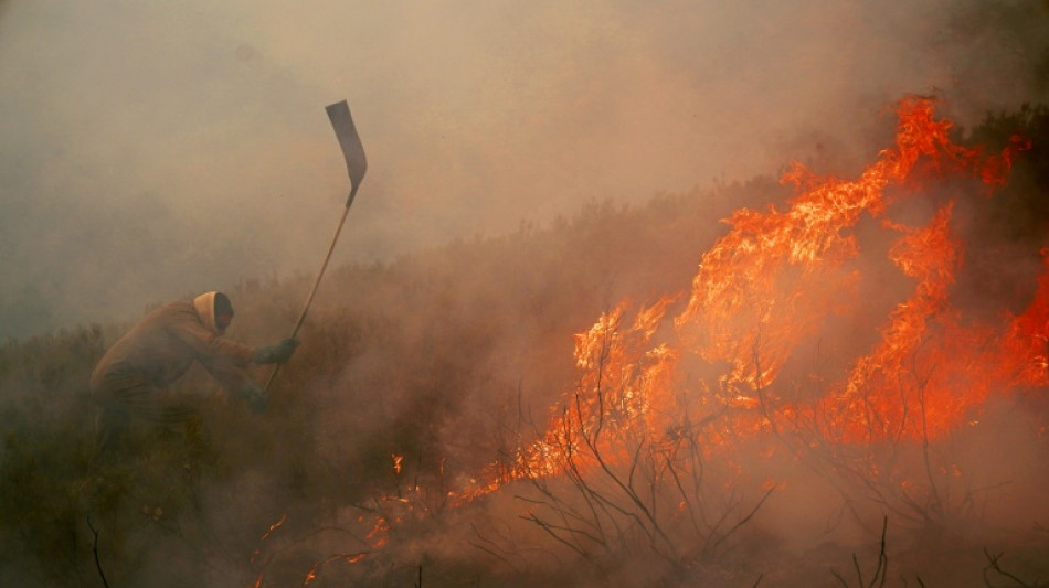 Wildfires pile pressure on Spanish PM