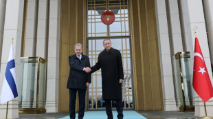 Otan: le pr&eacute;sident finlandais &agrave; Ankara en qu&ecirc;te du feu vert turc