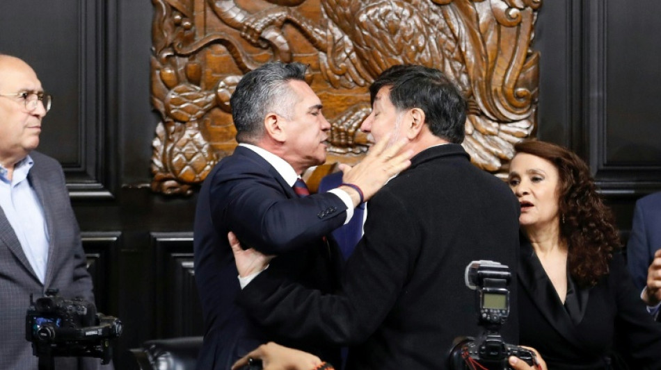 Sheinbaum classifica como 'lament&aacute;vel' briga entre senadores no M&eacute;xico