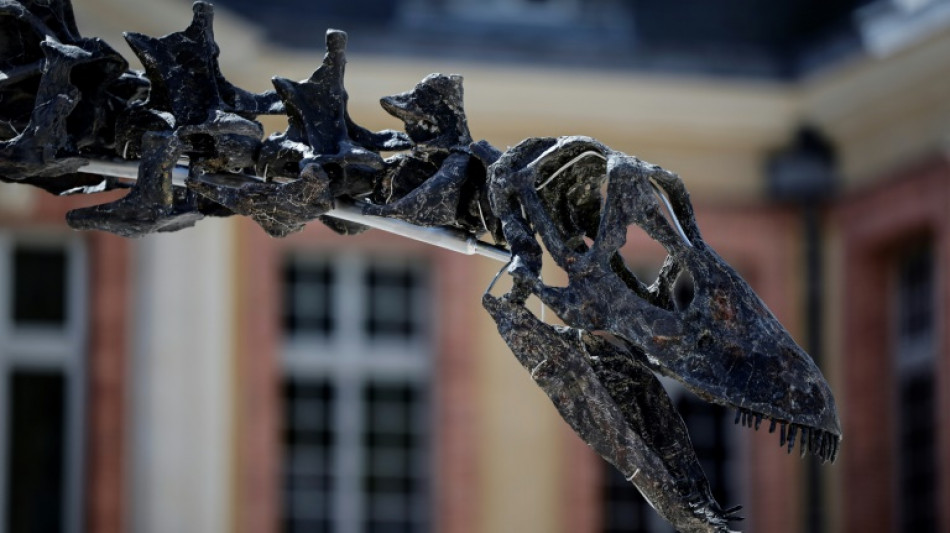 La dieta alimenticia de los dinosaurios explica su supremac&iacute;a