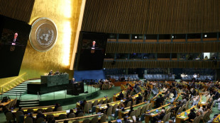 Assembleia Geral da ONU apoia futuro Estado palestino, mas sem o Hamas