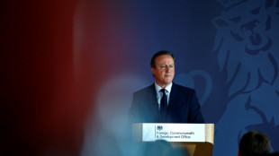 UK's Cameron calls for Israel to produce 'clear plan' for Rafah