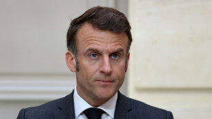 Guerre commerciale: Macron pr&eacute;sente un plan de riposte &agrave; la "brutale" d&eacute;cision de Trump