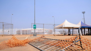 Bousculade mortelle &agrave; la CAN: le gouvernement camerounais veut "am&eacute;liorer" l'acc&egrave;s au stade