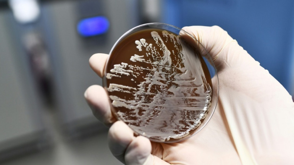 RKI: 9600 Menschen durch antibiotikaresistente Erreger gestorben