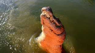 El reptil estrella de "Cocodrilo Dundee" muere a los 90 a&ntilde;os