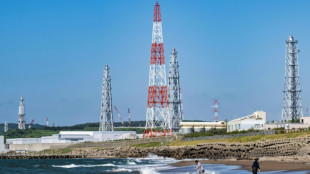 Japon: la plus grande centrale nucl&eacute;aire du monde a repris du service