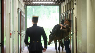 Au Cadre Noir de Saumur, 200 ans d'&eacute;quitation &agrave; la fran&ccedil;aise
