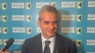 Assessore Marche, 'valutiamo se chiedere al governo uso golden power sull'Api'