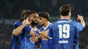 Doppelpacker Sylla schie&szlig;t Schalke an die Tabellenspitze