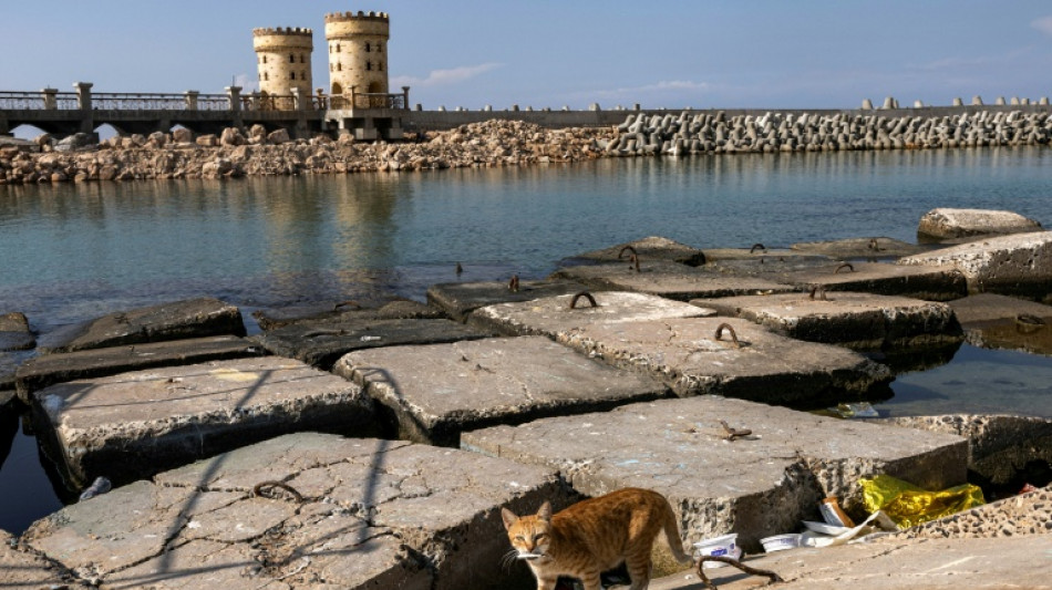Découverte de l'épave d'un bateau antique dans la rade d'Alexandrie