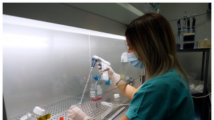 Anticorpi anti-influenza appiccicosi, in uno spray nasale