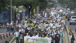 Ecologistas salvadore&ntilde;os temen impacto ambiental por ciudad bitc&oacute;in