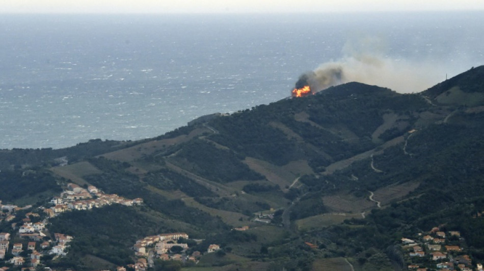 Erster gro&szlig;er Waldbrand des Jahres in Frankreich zerst&ouml;rt etwa 1000 Hektar