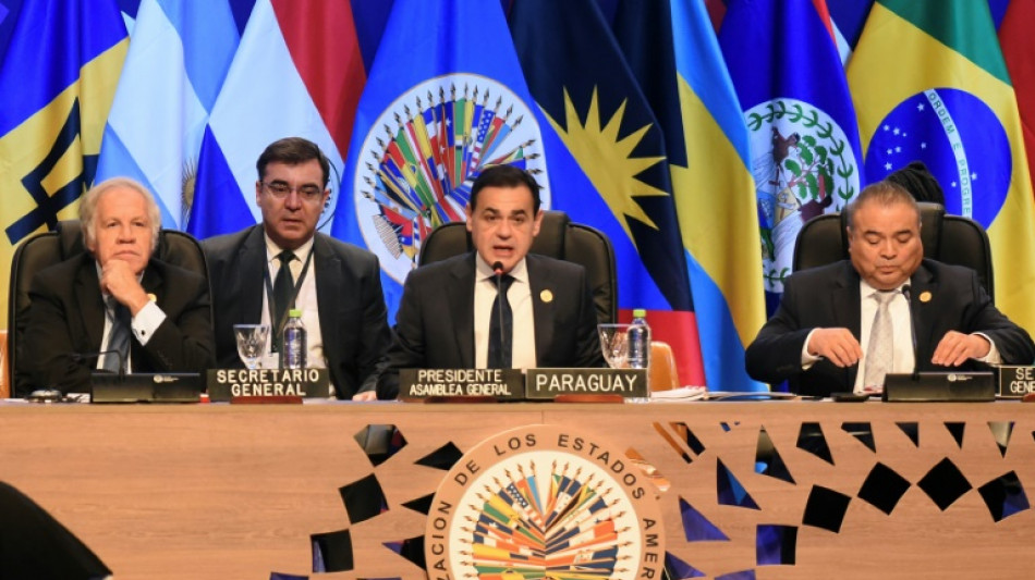 OEA repudia tentativa de golpe na Bol&iacute;via e aborda crises na Nicar&aacute;gua e Haiti