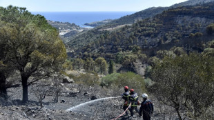 Pyr&eacute;n&eacute;es-Orientales: incendie ma&icirc;tris&eacute;, environ 1.000 hectares parcourus