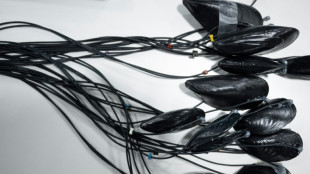 A Las Vegas, la tech pr&eacute;sente ses solutions pour le climat