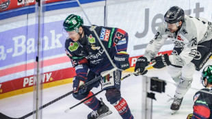 DEL: Eisb&auml;ren gegen Haie wieder vorn - Matchpucks f&uuml;r Mannheim
