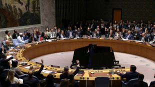 Le Conseil de s&eacute;curit&eacute; de l'ONU vote pour une force internationale &agrave; Gaza