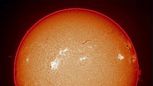 Sole iperattivo, le macchie solari pi&ugrave; numerose del previsto