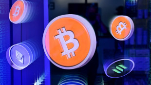 Port&eacute; par un vent d'optimisme, le bitcoin bat un nouveau record