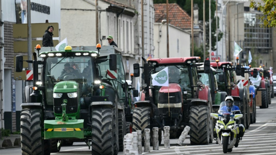 &iquest;Francia puede bloquear el acuerdo comercial entre la UE y el Mercosur?