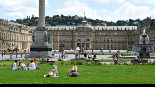 AfD in Umfrage in Baden-W&uuml;rttemberg auf Allzeithoch von 19 Prozent