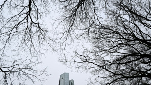 Deutsche Bank meldet Rekordgewinn