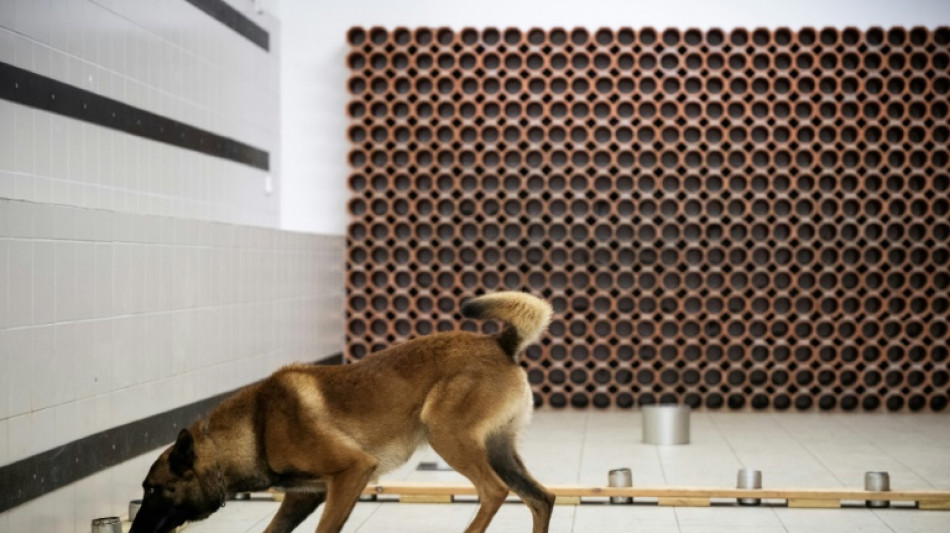 Flairer disques durs et clés USB, la nouvelle mission des chiens gendarmes