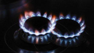 Il prezzo del gas chiude in calo a 32,02 euro