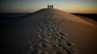 Tourisme ou nature: le dilemme brûlant de la dune du Pilat après les incendies