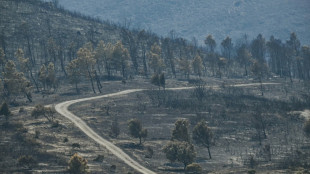 Des incendies toujours plus co&ucirc;teux pour les collectivit&eacute;s