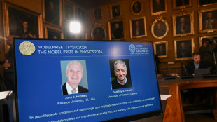 John Hopfield e Geoffrey Hinton ganham Nobel de F&iacute;sica por seus trabalhos sobre aprendizagem autom&aacute;tica