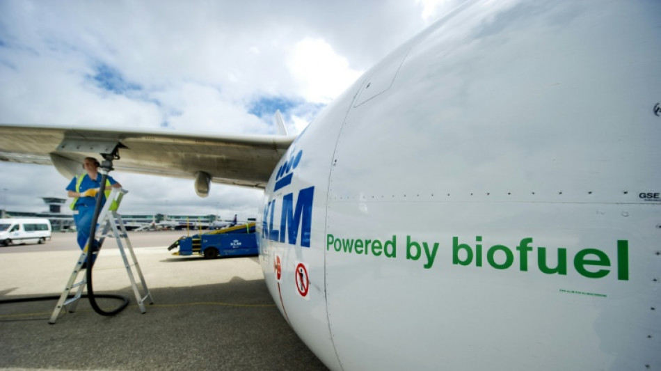 R&eacute;chauffement: mesures "agressives" n&eacute;cessaires pour l'aviation, selon un rapport