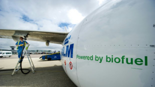R&eacute;chauffement: mesures "agressives" n&eacute;cessaires pour l'aviation, selon un rapport