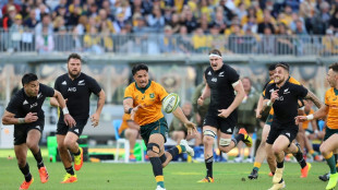 Wallabies-All Blacks combined team could play Lions - reports 