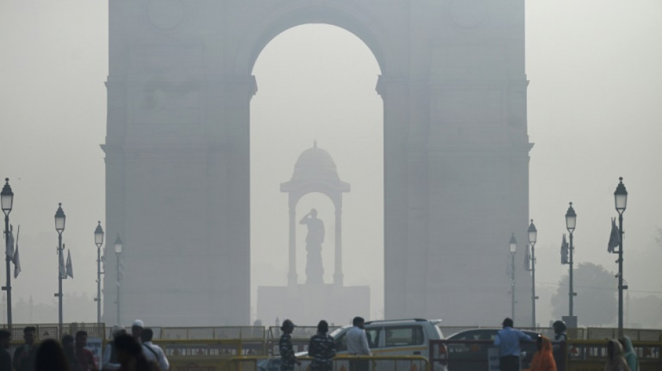 "Peligrosa" niebla t&oacute;xica envuelve la capital de India