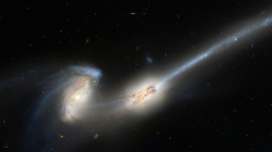 Via L&aacute;ctea provavelmente vai se salvar de colis&atilde;o com a colossal Andr&ocirc;meda