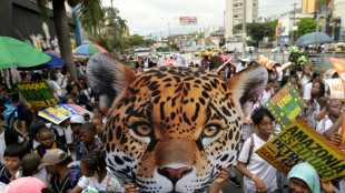 A Cali, la "zone verte", d&eacute;j&agrave; coeur vivant de la COP16