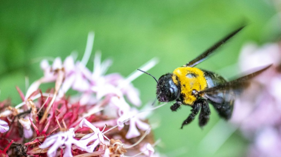 BUND vor 50-j&auml;hrigem Jubil&auml;um - Warnung vor Polarisierung bei Klimaschutz
