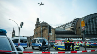 Polizeigewerkschaft will mehr Befugnisse an Bahnh&ouml;fen - Dobrindt f&uuml;r mehr Eins&auml;tze