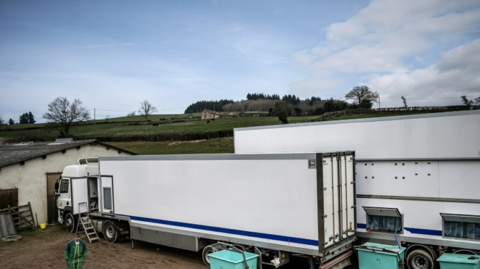 En Bourgogne, un abattoir mobile "prouve" qu'un &eacute;levage responsable est possible