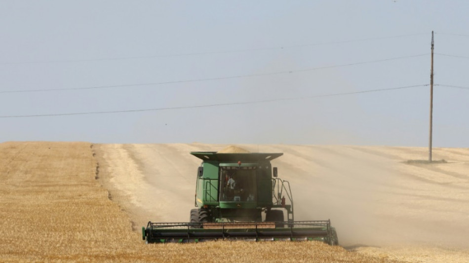 La UE considera inaceptable la prohibici&oacute;n en Polonia y Hungr&iacute;a a los cereales de Ucrania