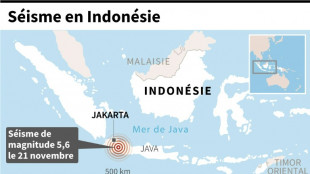 En Indon&eacute;sie, un s&eacute;isme fait au moins 46 morts et des centaines de bless&eacute;s