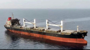 Ten rescued, more missing after deadly Huthi ship sinking